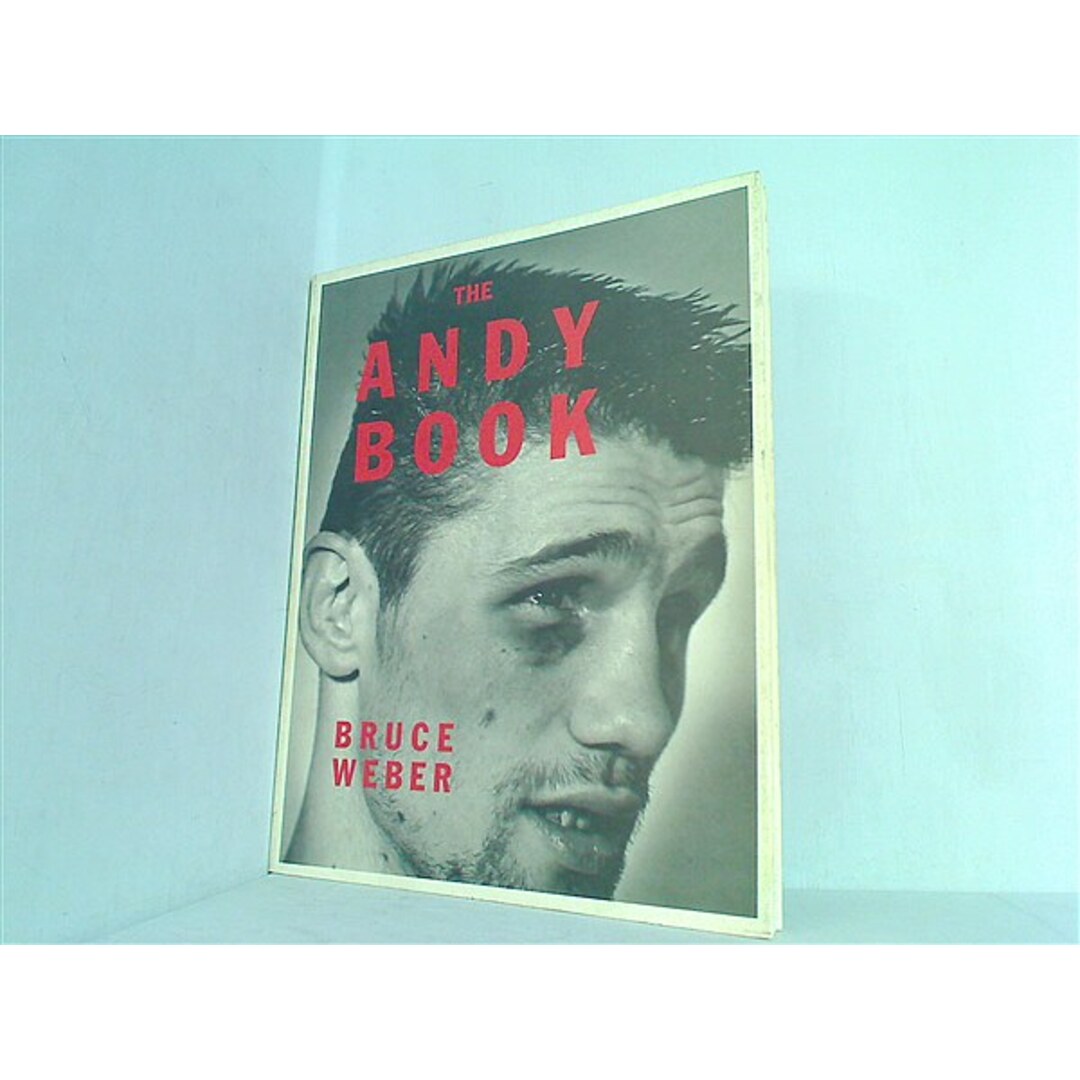 THE ANDY BOOK BRUCE WEBER エンタメ/ホビーの本(その他)の商品写真