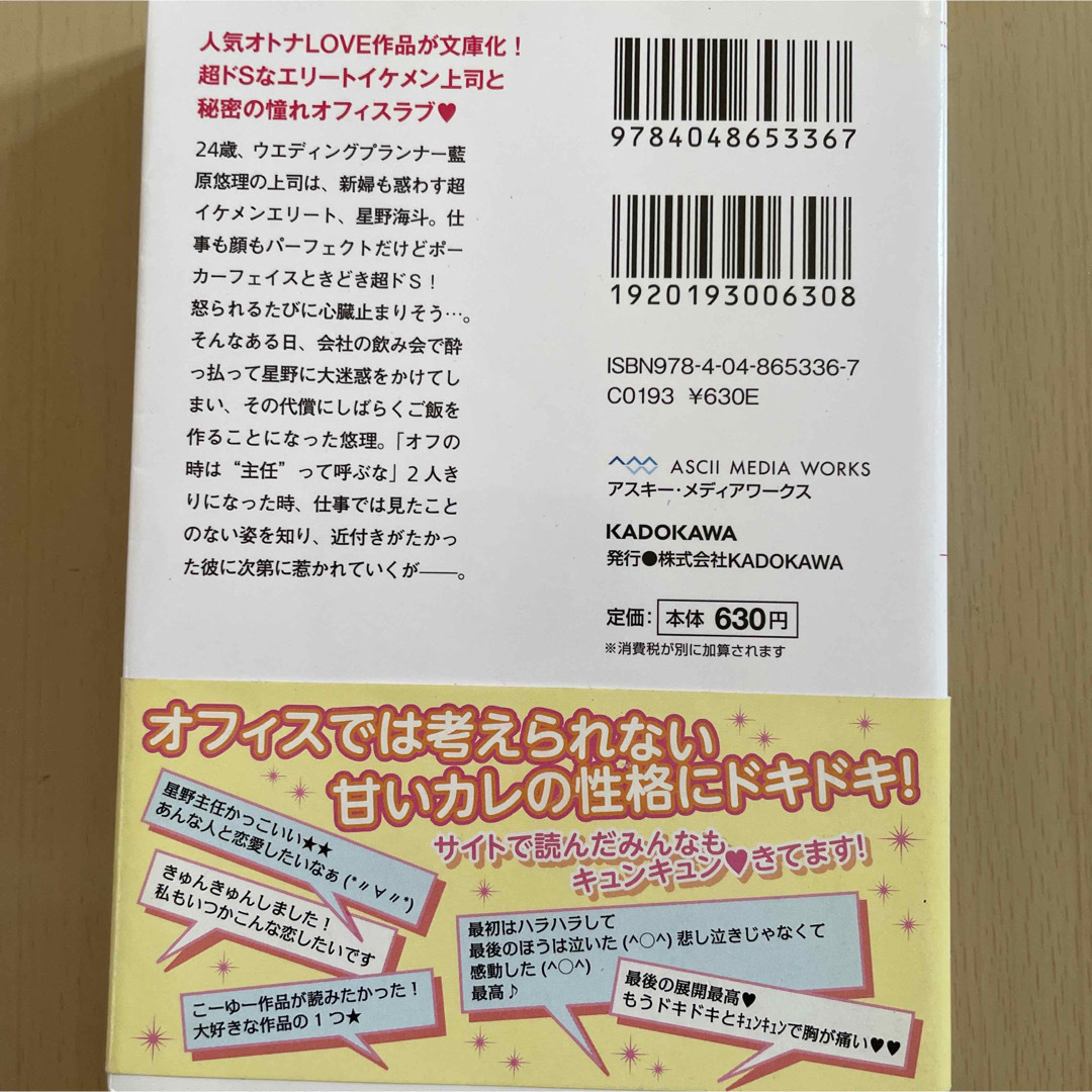 えみちゃん様専用ケータイ小説　3冊 エンタメ/ホビーの本(文学/小説)の商品写真