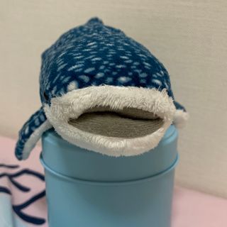 沖縄美ら海美術館　サメ　ぬいぐるみ(ぬいぐるみ)