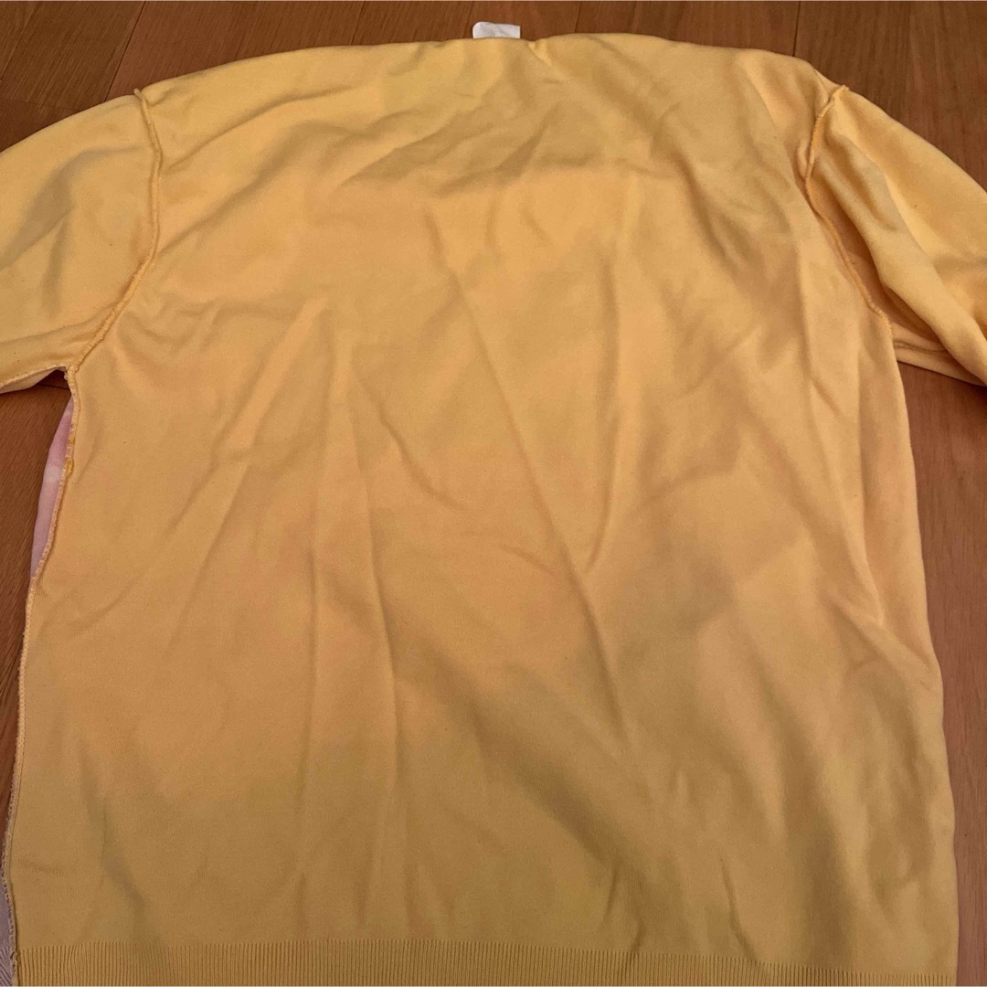 1970年代　ポリエステル、ナイロン　フォトTシャツ メンズのトップス(Tシャツ/カットソー(半袖/袖なし))の商品写真