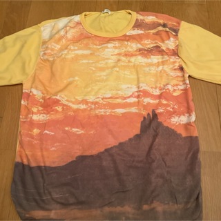 1970年代　ポリエステル、ナイロン　フォトTシャツ(Tシャツ/カットソー(半袖/袖なし))