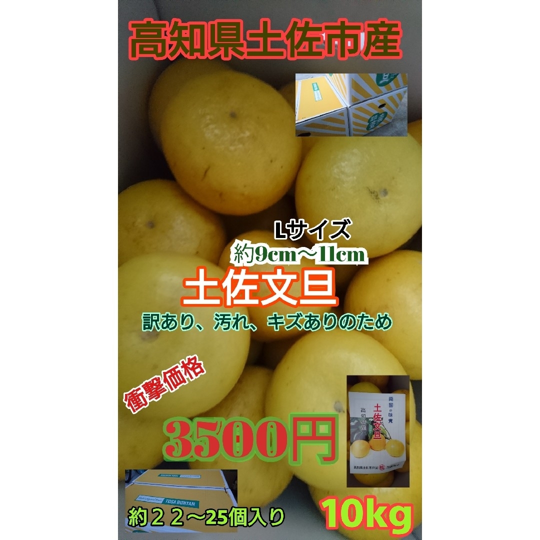 高知県土佐市産 土佐文旦 Lサイズ10kg 激安 訳あり文旦 送料込み 食品/飲料/酒の食品(フルーツ)の商品写真