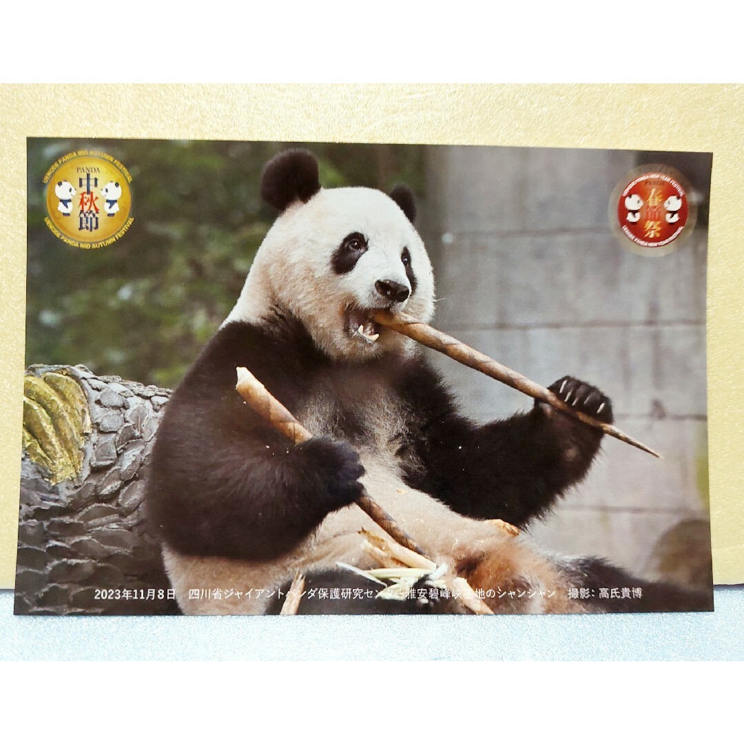 ウエノデパンダ春節祭　シャンシャンポストカード　2種類 エンタメ/ホビーのコレクション(ノベルティグッズ)の商品写真