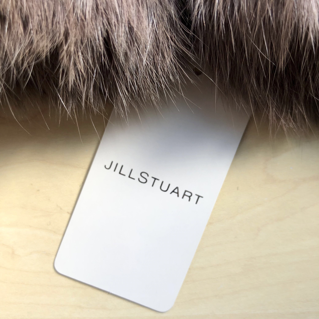 JILLSTUART(ジルスチュアート)の★新品・タグ付き★ジルスチュアート　ラビットファー　指なし手袋　ブラウン レディースのファッション小物(手袋)の商品写真