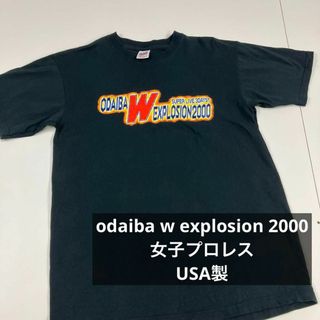 アンビル(Anvil)のanvil Tシャツ　ツアー　古着女子　プロレス　USA 2000年(Tシャツ/カットソー(半袖/袖なし))