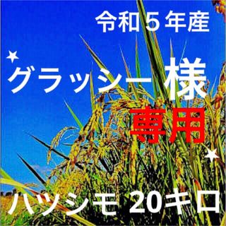 ⭐️グラッシー様専用⭐️R５年産✳️減農・有機肥料・送料無料ハツシモ20キロ(米/穀物)