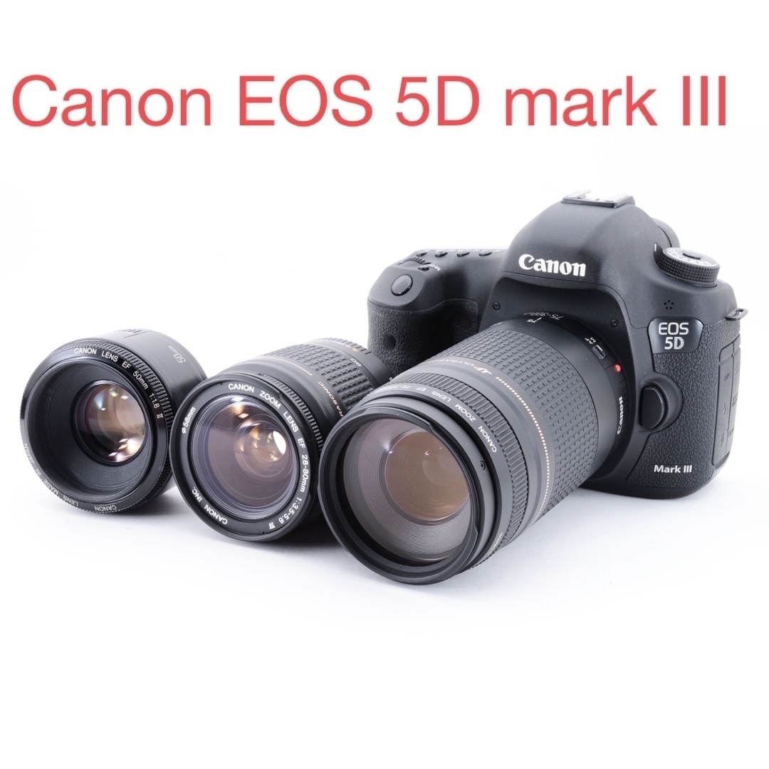 液晶Wi-Fi /動画/Canon EOS 5D MarkII標準&望遠レンズセット 液晶Wi-Fi /動画/Canon EOS 5D MarkII標準&望遠レンズセット