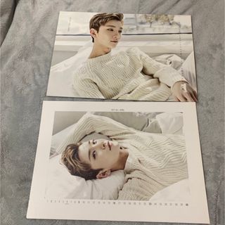 セブンティーン(SEVENTEEN)のseventeen 2017 シーグリ　ジス　ジョシュア(アイドルグッズ)