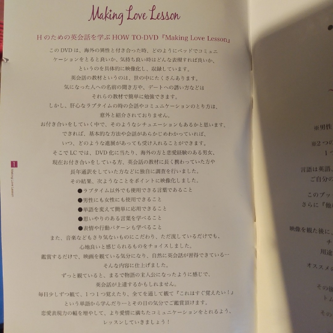 未使用　英会話DVD MaKing Love Lesson エンタメ/ホビーのDVD/ブルーレイ(趣味/実用)の商品写真