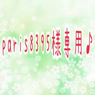 paris8395様専用♪(各種パーツ)