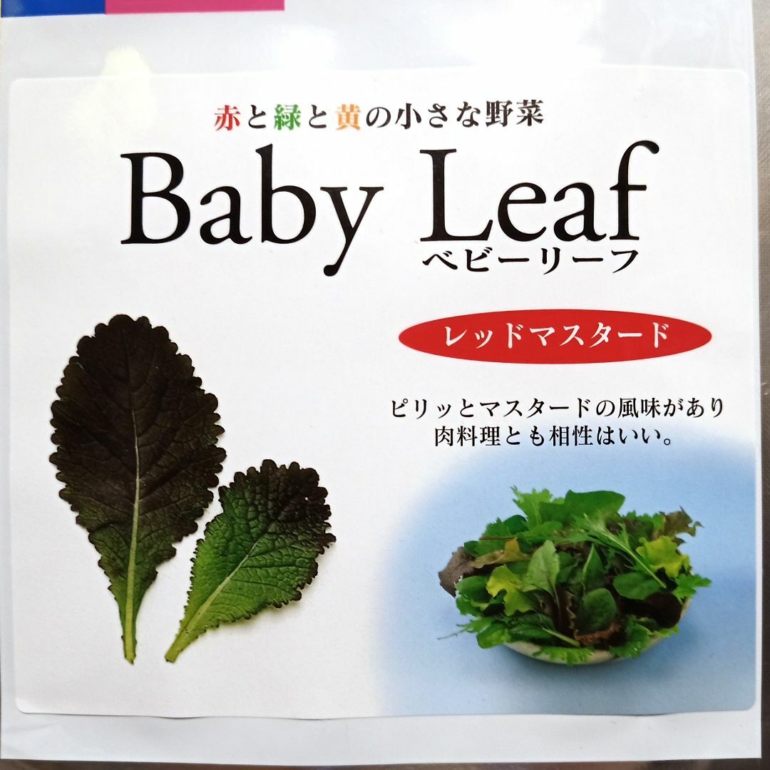 ベビーリーフ種子 B-33 レッドマスタード（赤大葉） 2.5ml x 2袋 食品/飲料/酒の食品(野菜)の商品写真