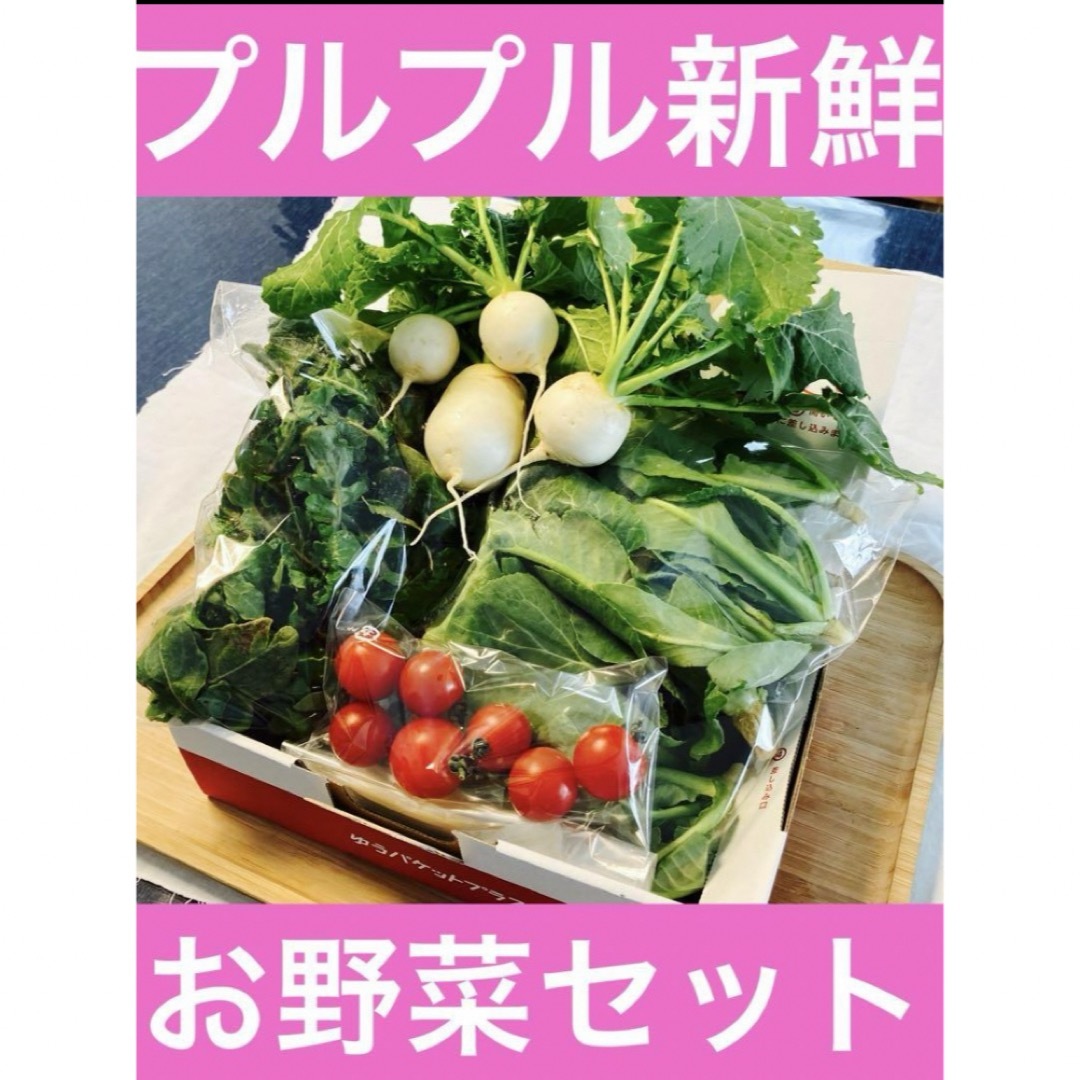 プルプル新鮮お野菜詰め合わせ 食品/飲料/酒の食品(野菜)の商品写真