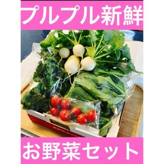 プルプル新鮮お野菜詰め合わせ(野菜)