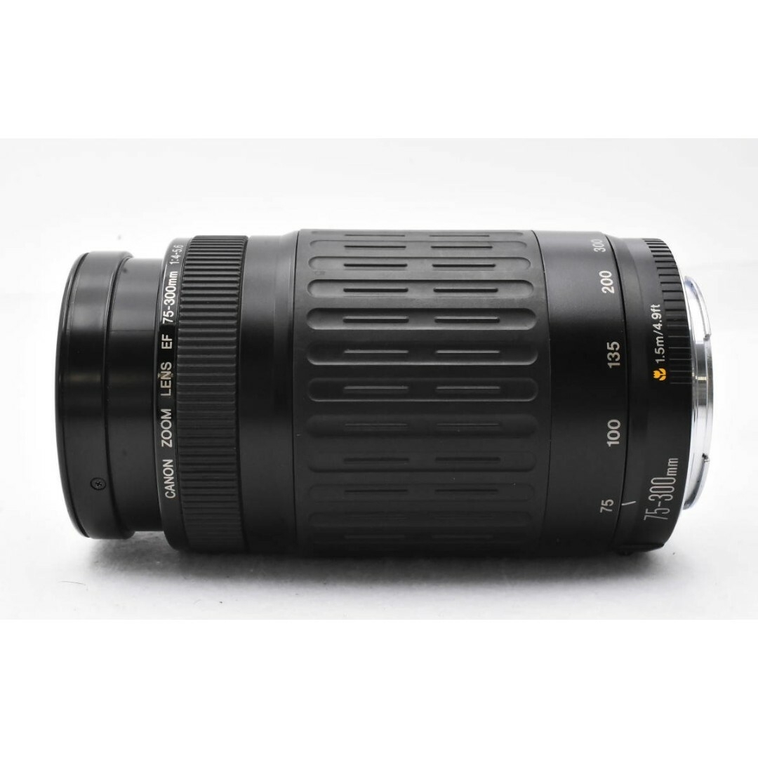 Canon(キヤノン)の5月25日限定特価✨【超望遠レンズ】Canon EF 75-300mm スマホ/家電/カメラのカメラ(レンズ(ズーム))の商品写真