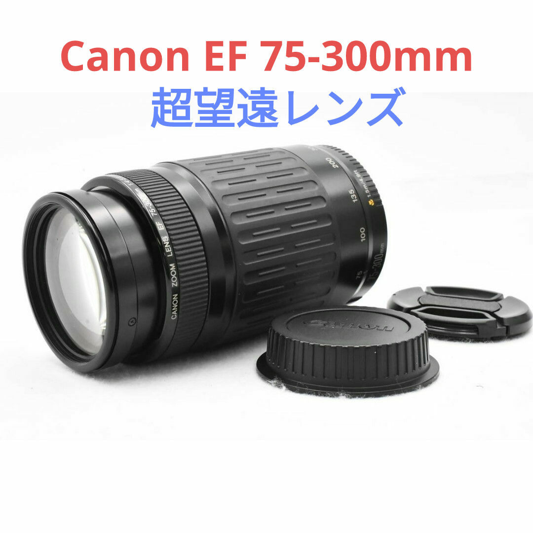 Canon(キヤノン)の5月25日限定特価✨【超望遠レンズ】Canon EF 75-300mm スマホ/家電/カメラのカメラ(レンズ(ズーム))の商品写真