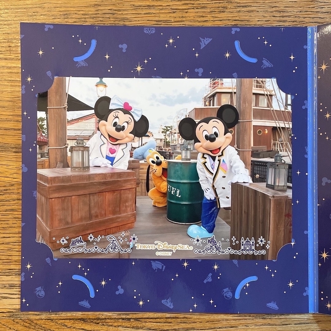 Disney(ディズニー)のディズニー フォトファン プラザ エンタメ/ホビーのおもちゃ/ぬいぐるみ(キャラクターグッズ)の商品写真