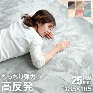 新品★カーペット2畳 厚手 高反発 床暖房対応【カラー選択】tansu(カーペット)