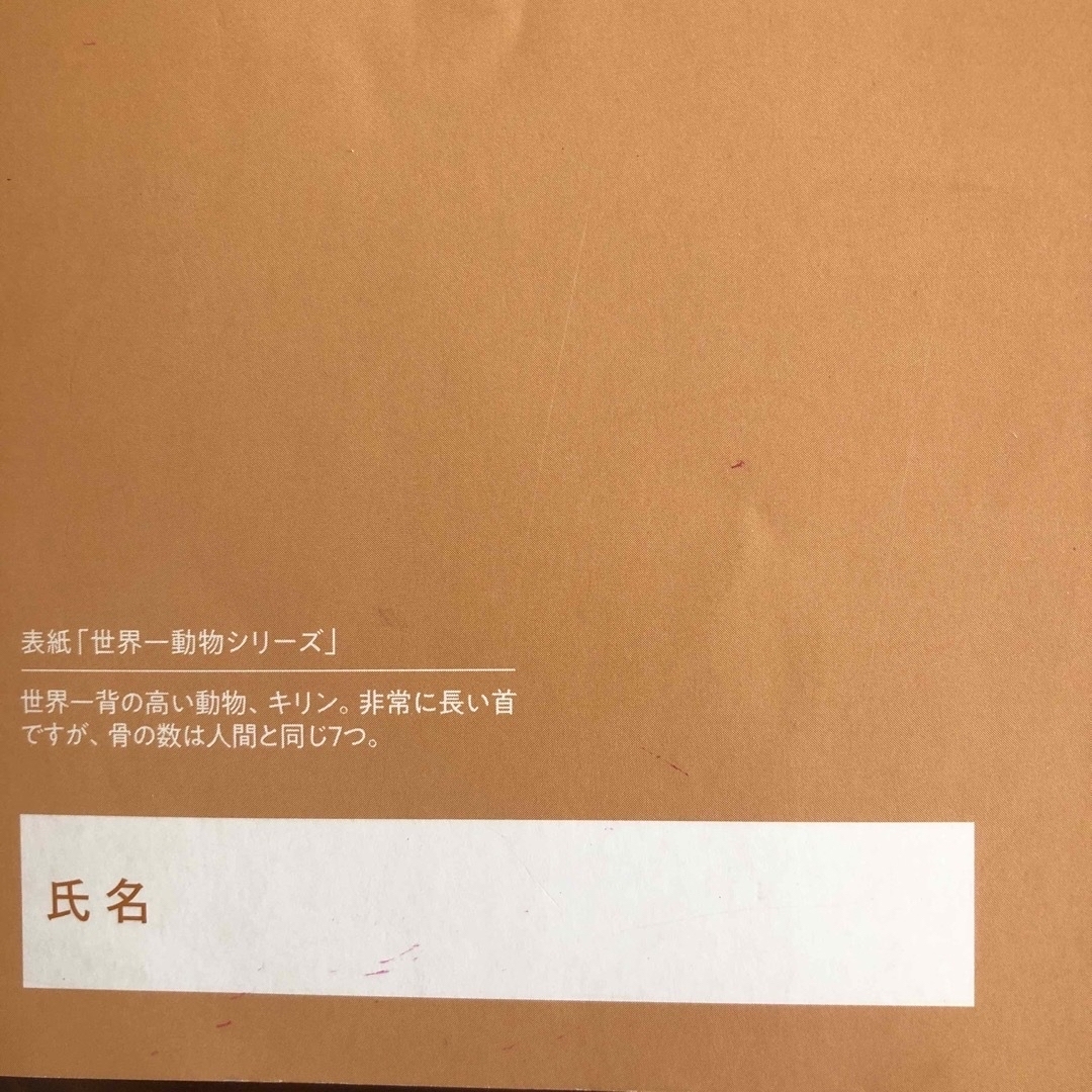 四谷大塚　演習問題集　理科　4年下　解答と解説のみ　予習シリーズ エンタメ/ホビーの本(語学/参考書)の商品写真