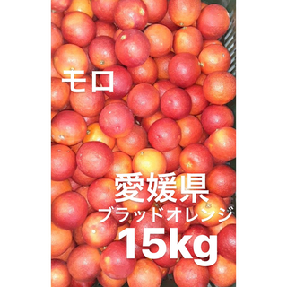 愛媛県産　ブラッドオレンジ　モロ　柑橘　15kg(フルーツ)
