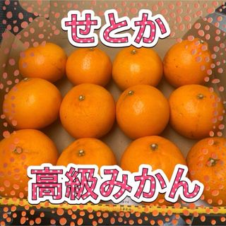 せとか　約1.４キロ  高級みかん　ご家庭用綺麗目　数は変わります(フルーツ)