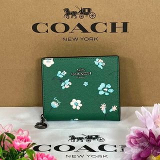 COACH コーチ ベージュ シグネチャー ライトカーキ ストライプ