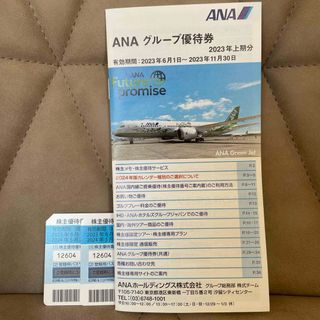 エーエヌエー(ゼンニッポンクウユ)(ANA(全日本空輸))のANA 株主優待券　2枚(その他)