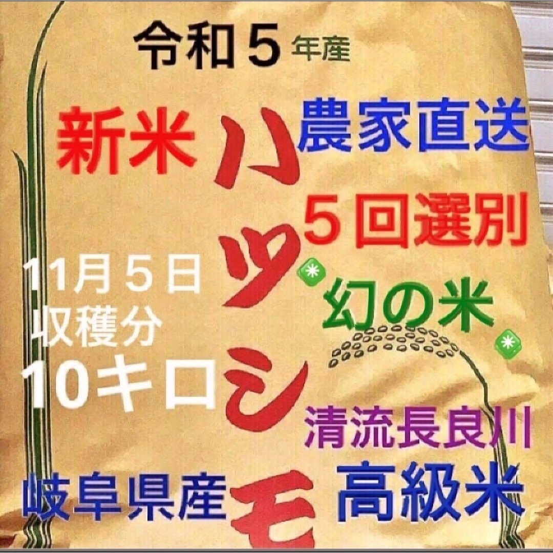 ⭐️あや様専用⭐️ 令和５年産✳️５回選別・有機肥料・ハツシモ１０キロ 食品/飲料/酒の食品(米/穀物)の商品写真