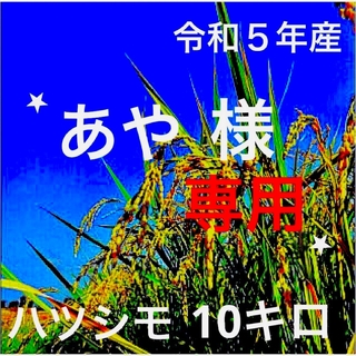 ⭐️あや様専用⭐️ 令和５年産✳️５回選別・有機肥料・ハツシモ１０キロ(米/穀物)