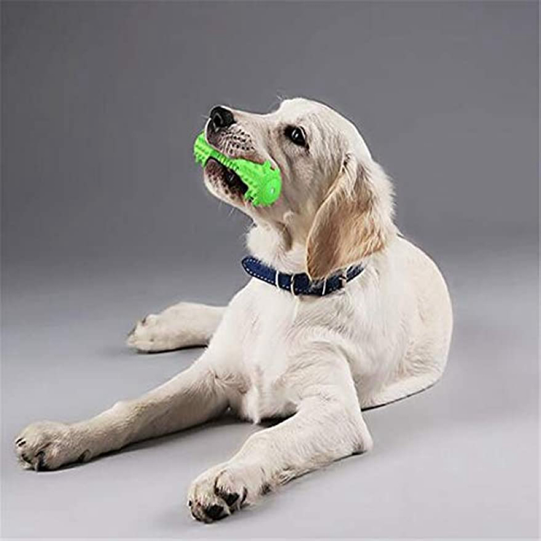 犬の歯ブラシ噛むおもちゃ  臼歯の咬傷に強い歯ブラシロープ(イエロー) その他のペット用品(犬)の商品写真