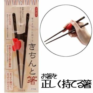 きちんと箸 大人用 矯正箸 21cm 右利き用(カトラリー/箸)