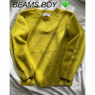 ビームスボーイ(BEAMS BOY)の【美品】Nor’Easterly × BEAMS BOY別注シャギークルーニット(ニット/セーター)