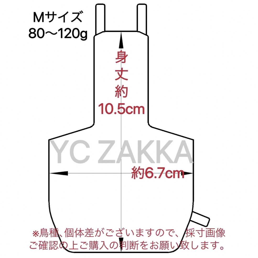 バードスーツ  Mサイズ  グリーンフラワー柄  フライトスーツ その他のペット用品(鳥)の商品写真