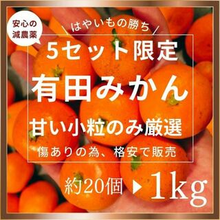 訳あり 小玉 有田みかん 1kg【減農薬】 産地直送 甘い 和歌山 2S 3S(フルーツ)
