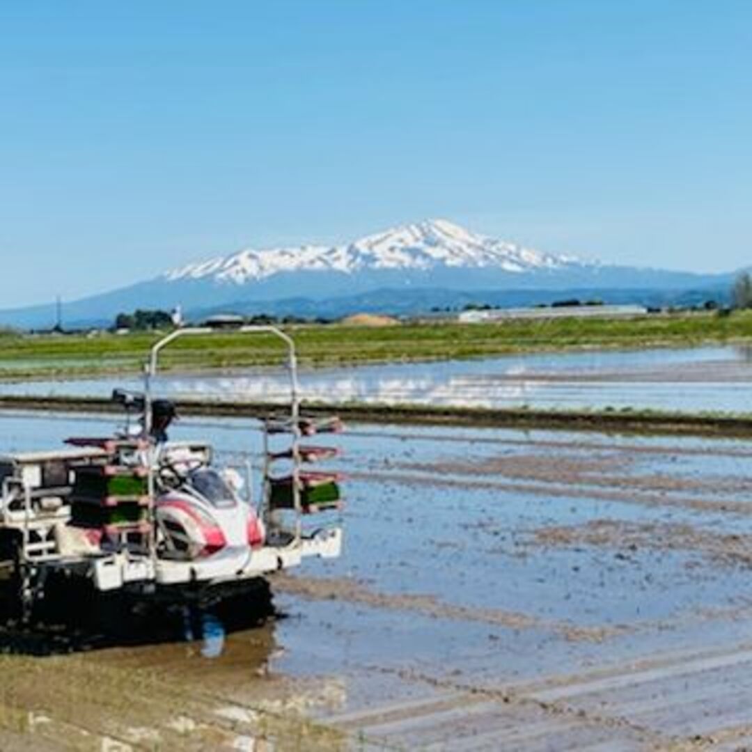 羽黒山の麓で育った美味しいお米！山形県産特別栽培米ひとめぼれ（白米）５ｋｇ 食品/飲料/酒の食品(米/穀物)の商品写真