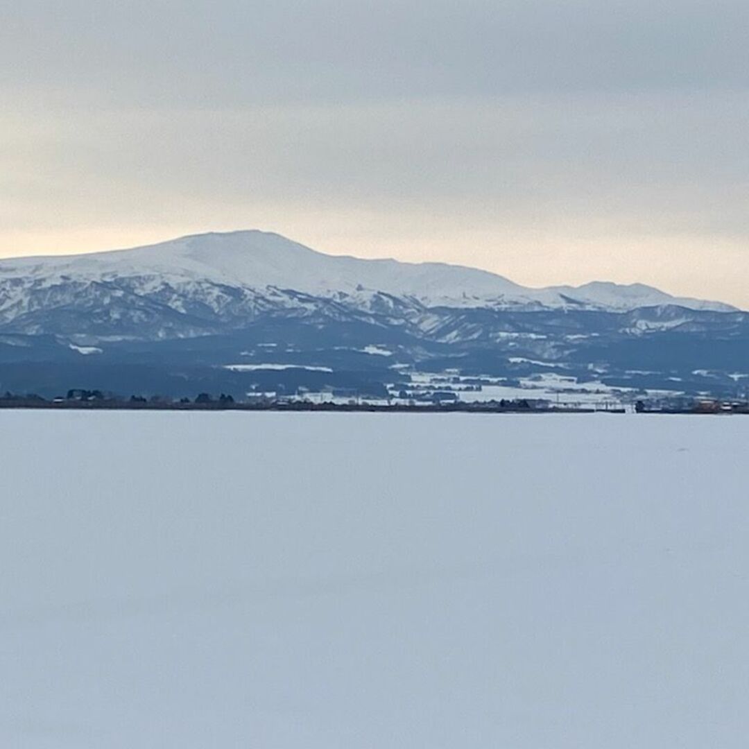 羽黒山の麓で育った美味しいお米！山形県産特別栽培米ひとめぼれ（白米）５ｋｇ 食品/飲料/酒の食品(米/穀物)の商品写真