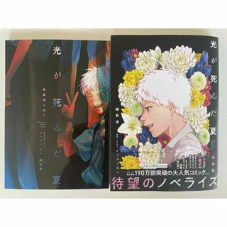 カドカワショテン(角川書店)の【小説と特製小冊子セット】ひかるが死んだ夏 小説 特装版 漫画 モクモクれん(その他)