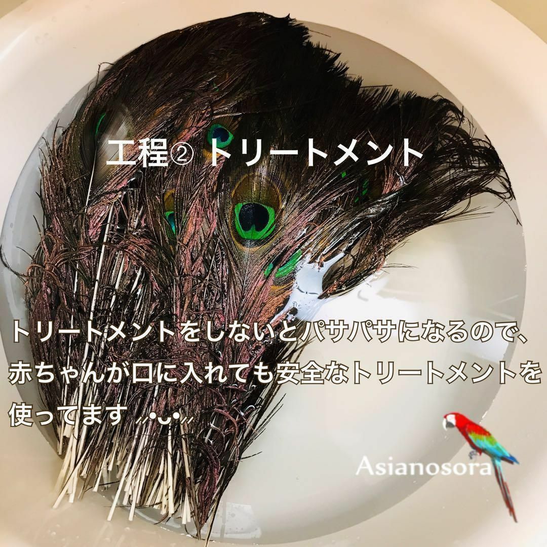 【クジャク 10枚】孔雀の羽根  鳥の羽根　目玉 パーツ　インテリア 素材 ハンドメイドの素材/材料(その他)の商品写真