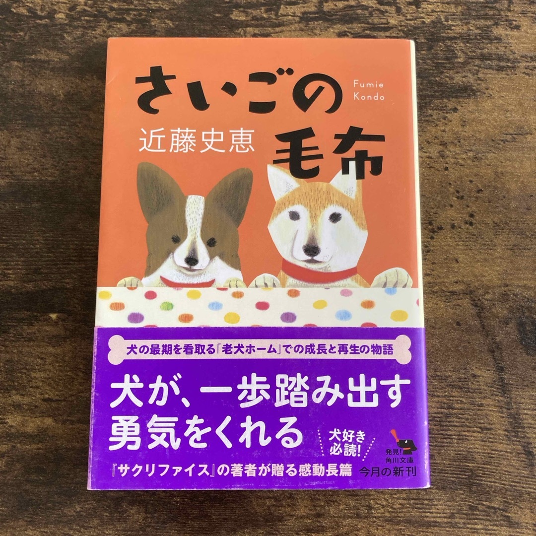 さいごの毛布 エンタメ/ホビーの本(その他)の商品写真