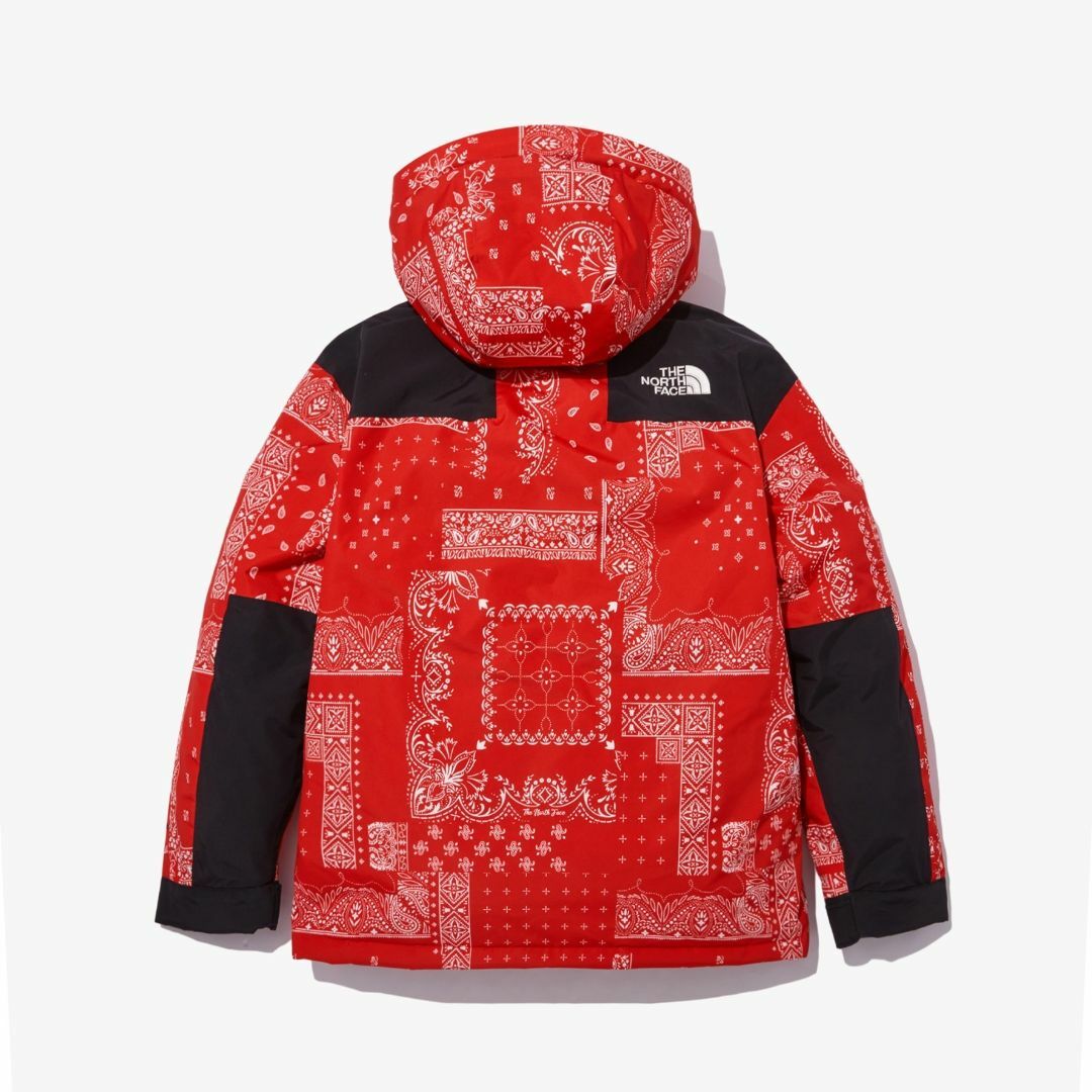 THE NORTH FACE(ザノースフェイス)のノースフェイス ダウンジャケット L バンダナ NOVELTY ULTIMATE レディースのジャケット/アウター(ダウンジャケット)の商品写真