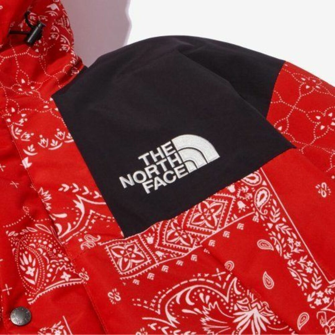 THE NORTH FACE(ザノースフェイス)のノースフェイス ダウンジャケット L バンダナ NOVELTY ULTIMATE レディースのジャケット/アウター(ダウンジャケット)の商品写真