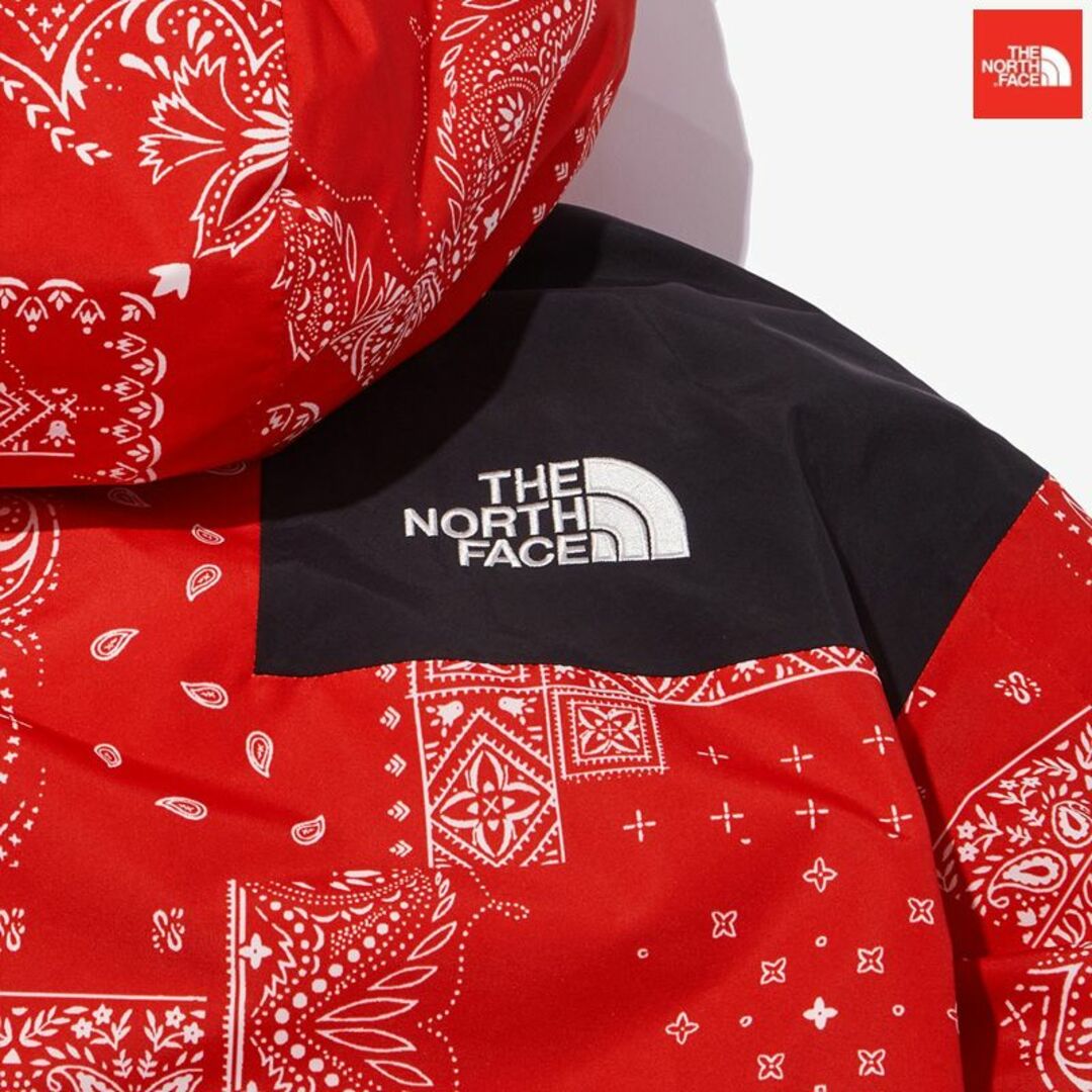 THE NORTH FACE(ザノースフェイス)のノースフェイス ダウンジャケット L バンダナ NOVELTY ULTIMATE レディースのジャケット/アウター(ダウンジャケット)の商品写真