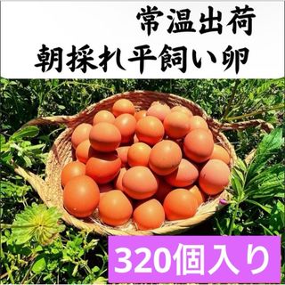 320個入り　宮下養鶏の朝採れ平飼い卵(その他)