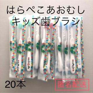 はらぺこあおむし　キッズ　歯ブラシ　20本セット(歯ブラシ/歯みがき用品)