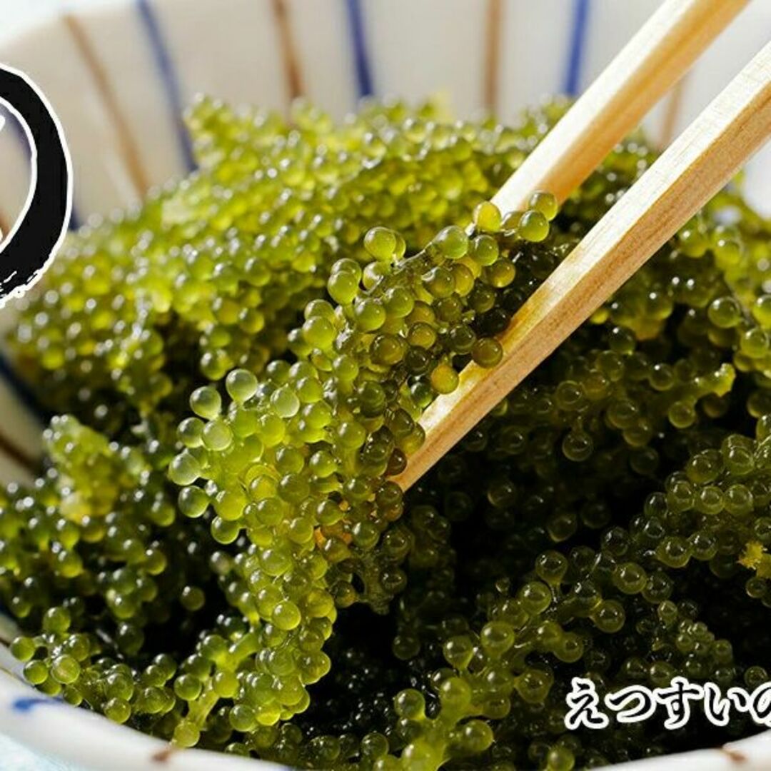 常温 海ぶどう 5倍に膨らむ大容量 x10パック 20袋 味で勝負 ご当地グルメ