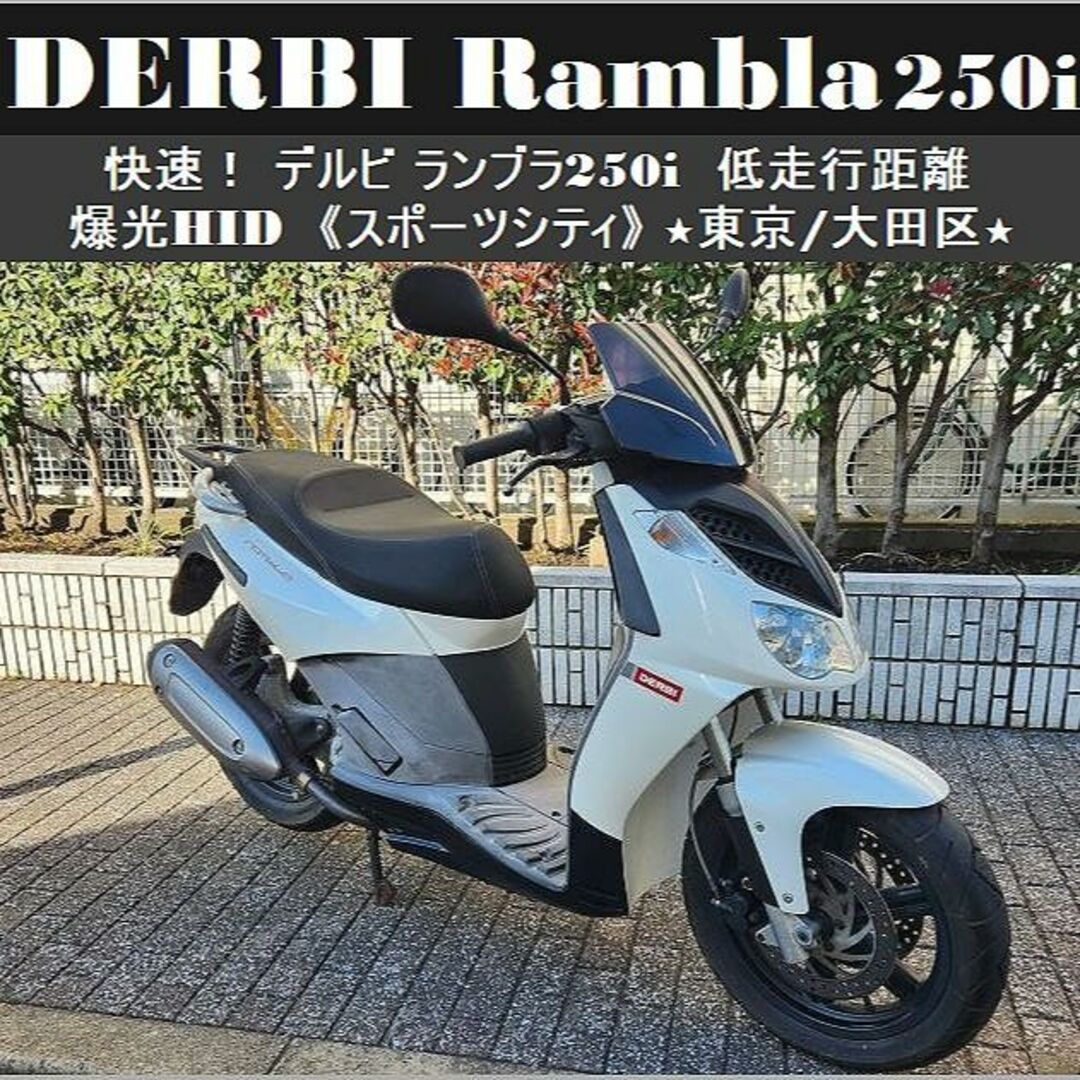 ★快速！DERBI Rambla250i 低走行距離 爆光HID ランブラ★東京 自動車/バイクのバイク(車体)の商品写真