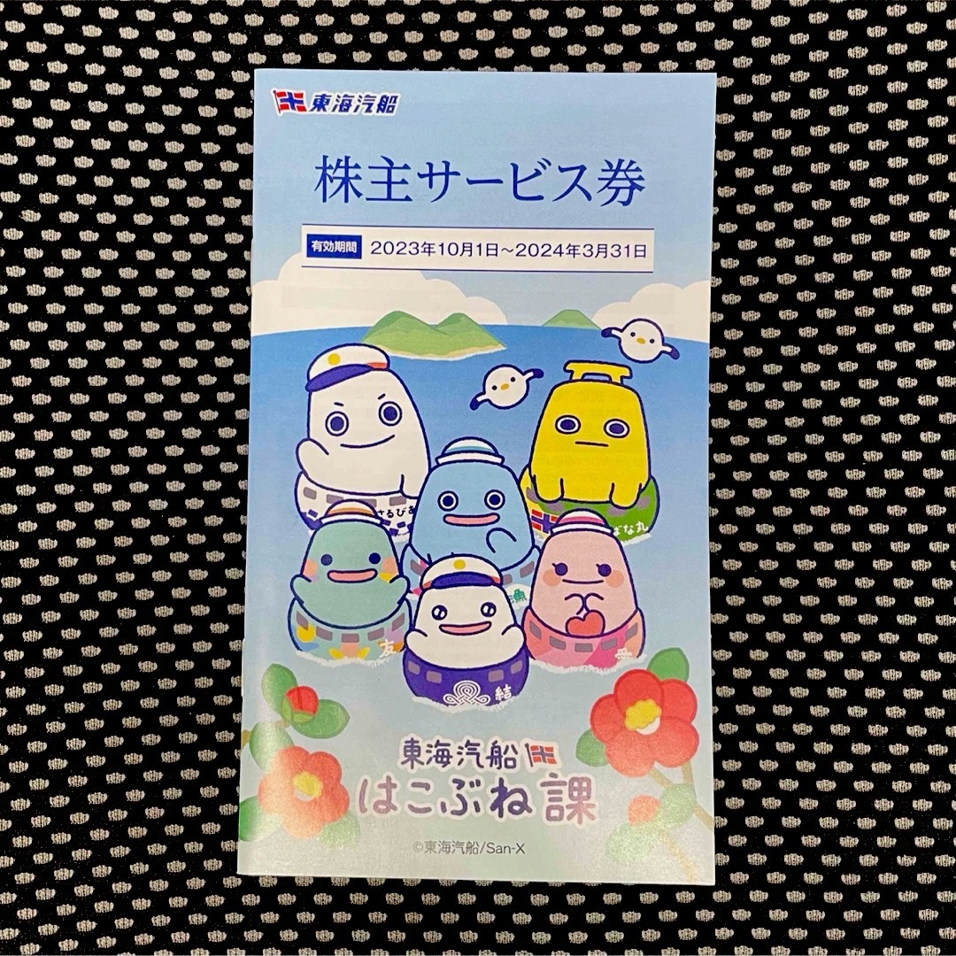 東海汽船 乗船割引券10枚 送料込み 株主サービス券付 チケットの優待券/割引券(その他)の商品写真