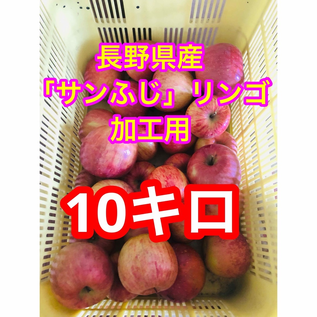 長野県産「サンふじ」リンゴ　加工用10キロ 食品/飲料/酒の食品(フルーツ)の商品写真