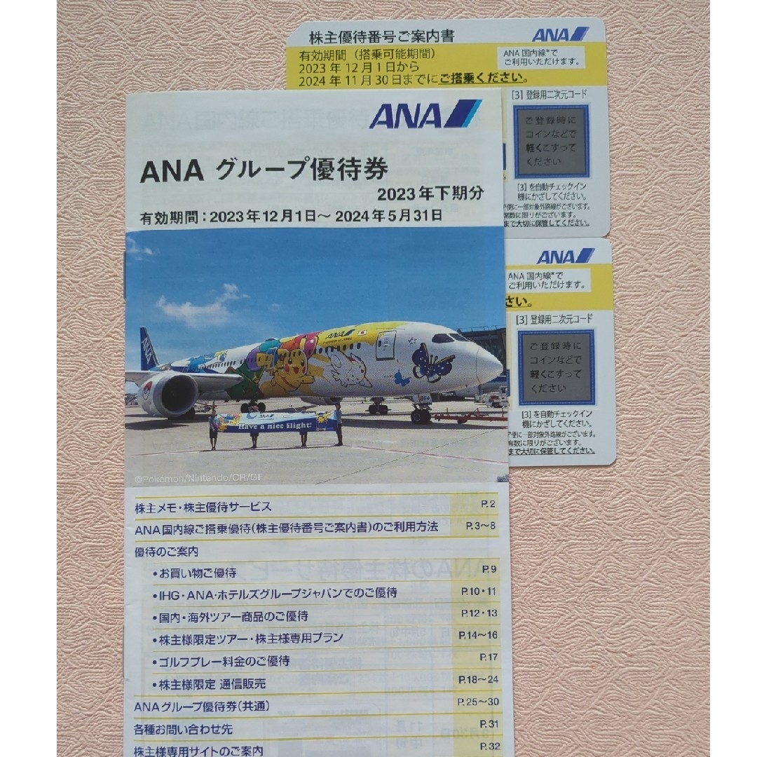 ANA(全日本空輸)(エーエヌエー(ゼンニッポンクウユ))のANA 株主優待 2枚 チケットの乗車券/交通券(その他)の商品写真