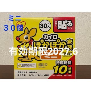 アイリスオーヤマ(アイリスオーヤマ)の貼るカイロ　ミニ　サイズ　使い捨て　貼る　カイロ　30個(その他)