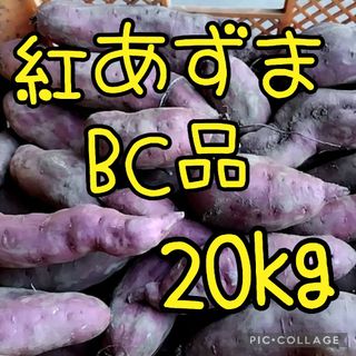 さつまいも　紅あずまBC20kg(野菜)